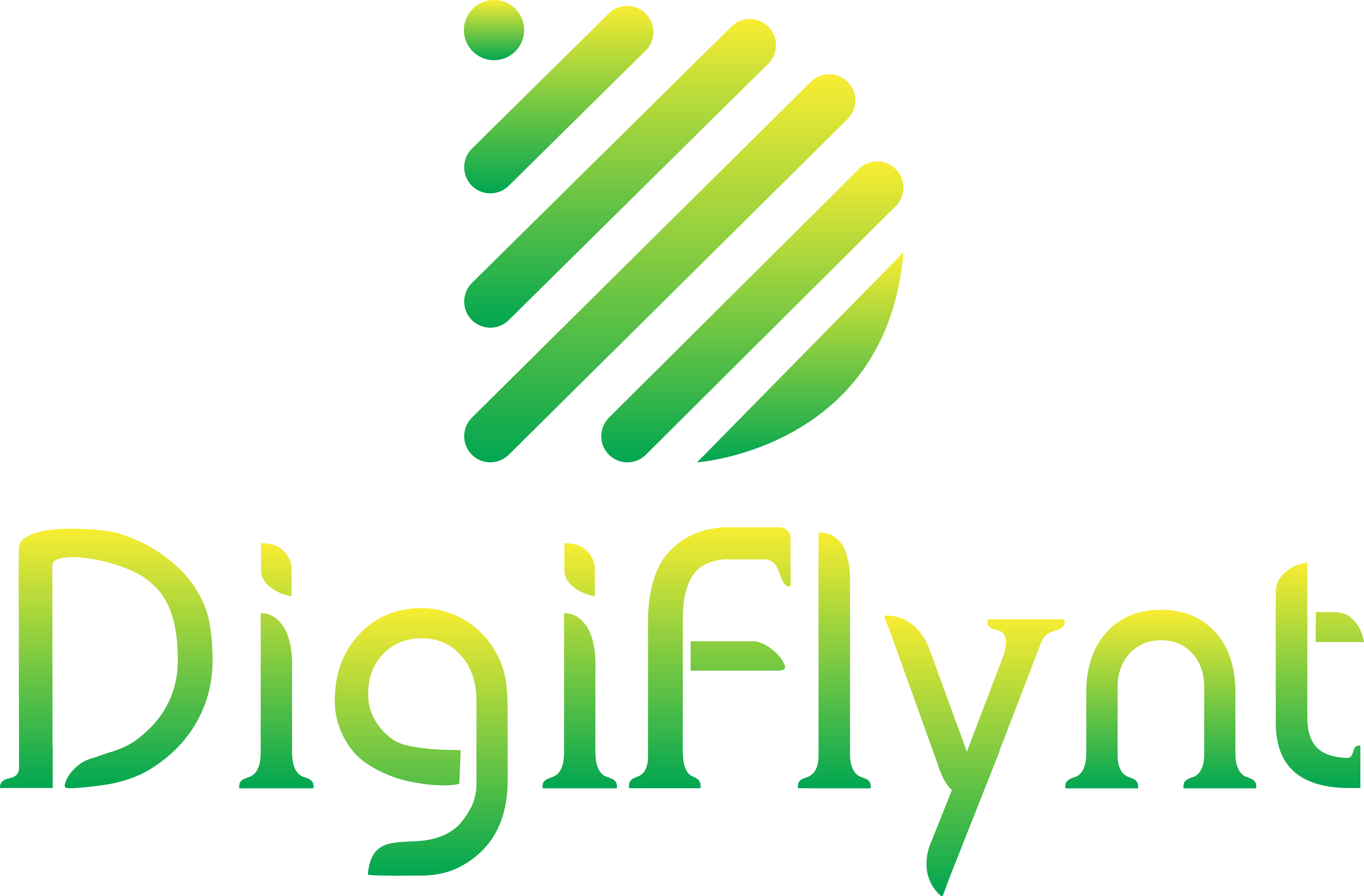 Digiflynt logo